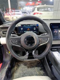 بي واي دي سيل 06 DM-i